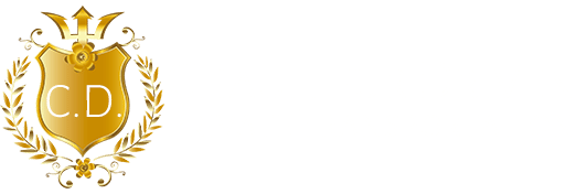 Chauffeur Driven | English private drivers